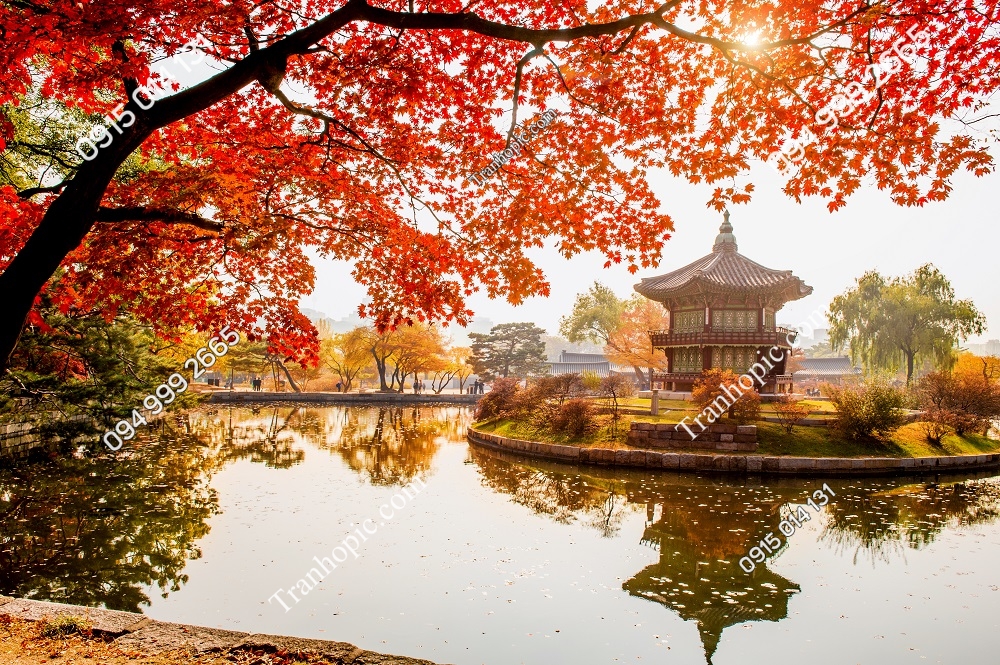 Tranh Cung điện Gyeongbokgung mùa thu FP11306559