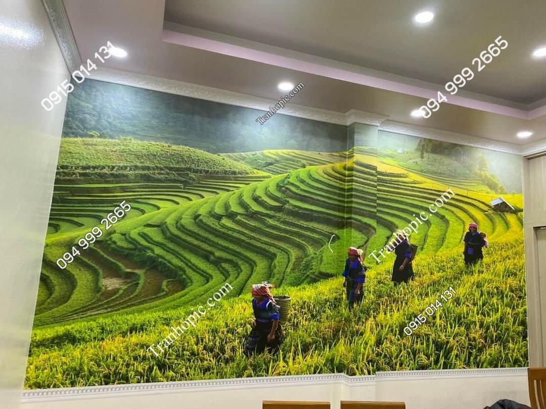 Tranh dán tường ruộng bậc thang phòng khách