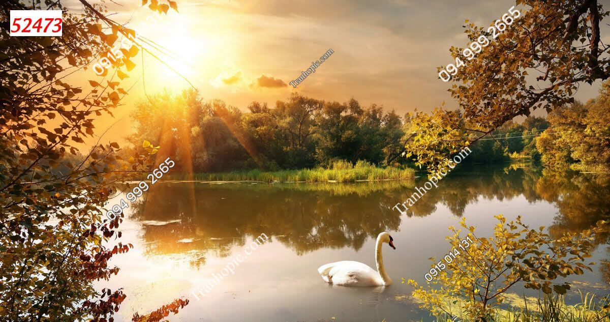 Tranh dán tường bờ hồ lúc hoàng hôn 52473
