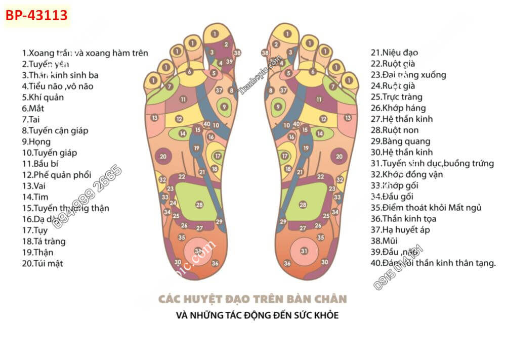 Tranh dán tường huyệt vị kinh mạch bàn chân 43113