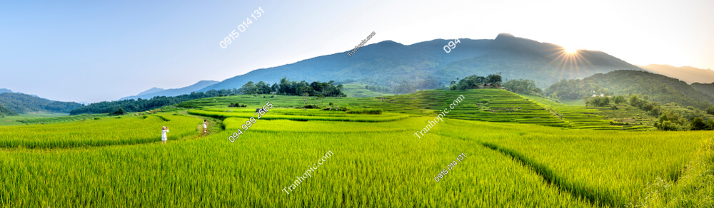 Tranh dán tường ruộng Pù Luông Thanh Hóa 1577487166