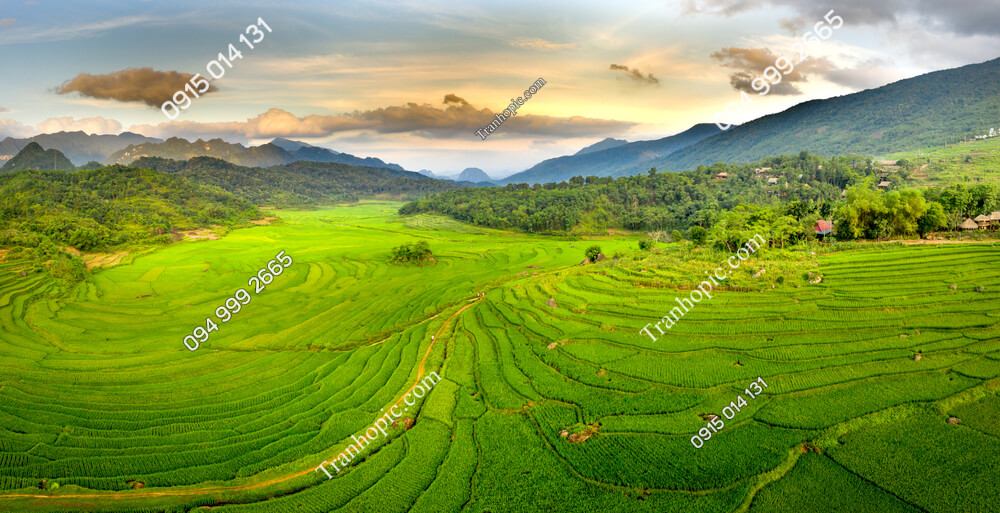Panoramic,View,Of,Beautiful,Green,Terraces,Of,Pu,Luong,Commune,